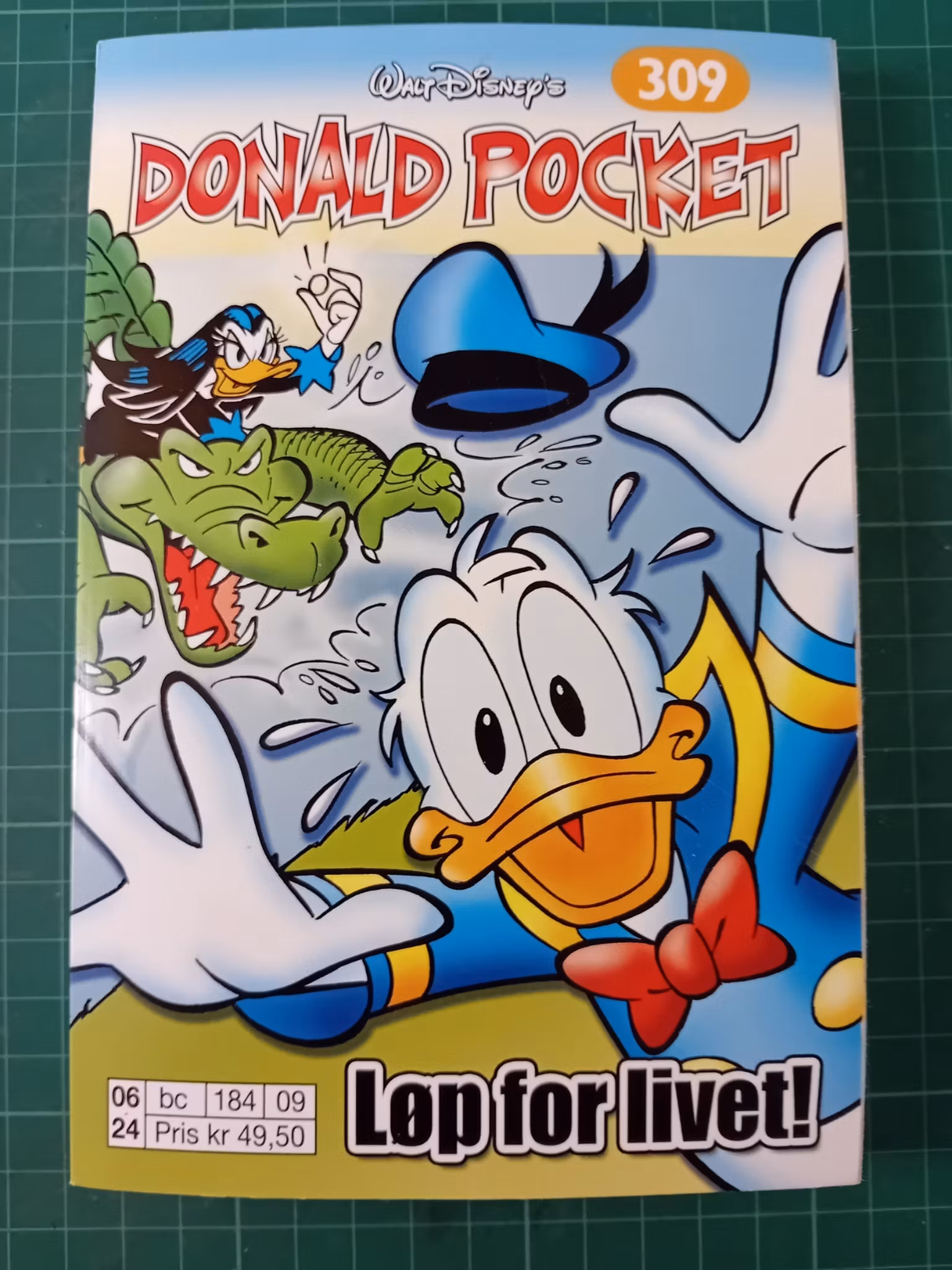 Donald Pocket 309