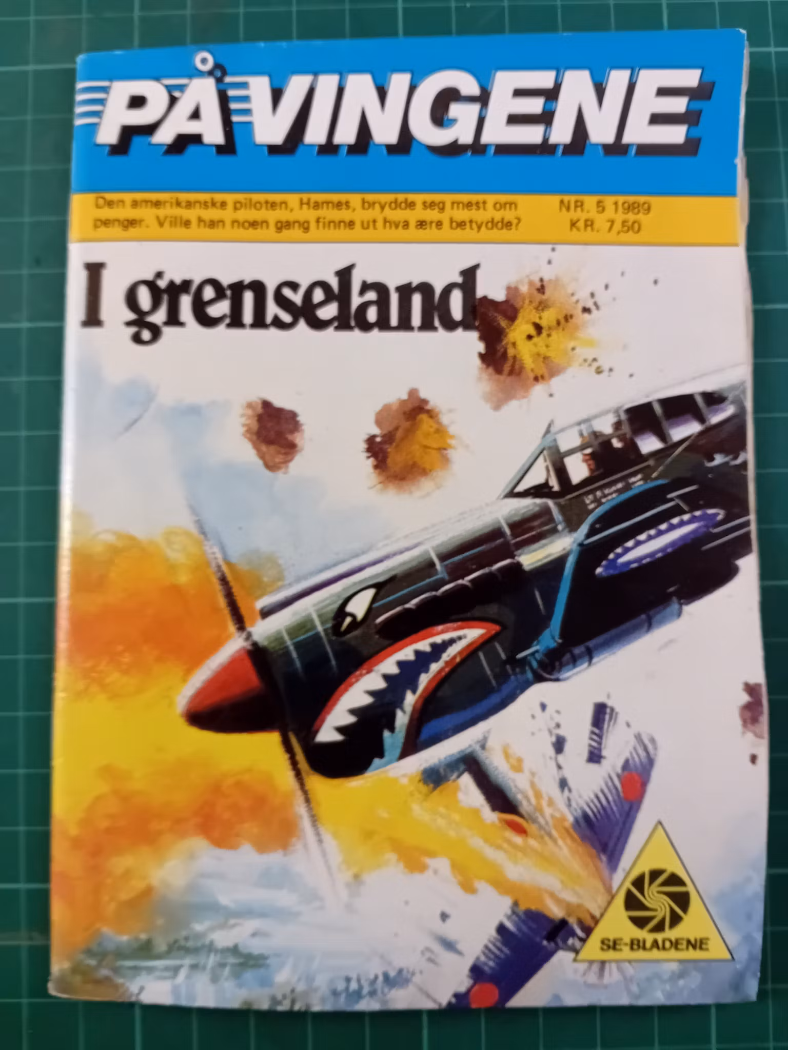 På vingene 1989 - 05 (Bøy i bladet)