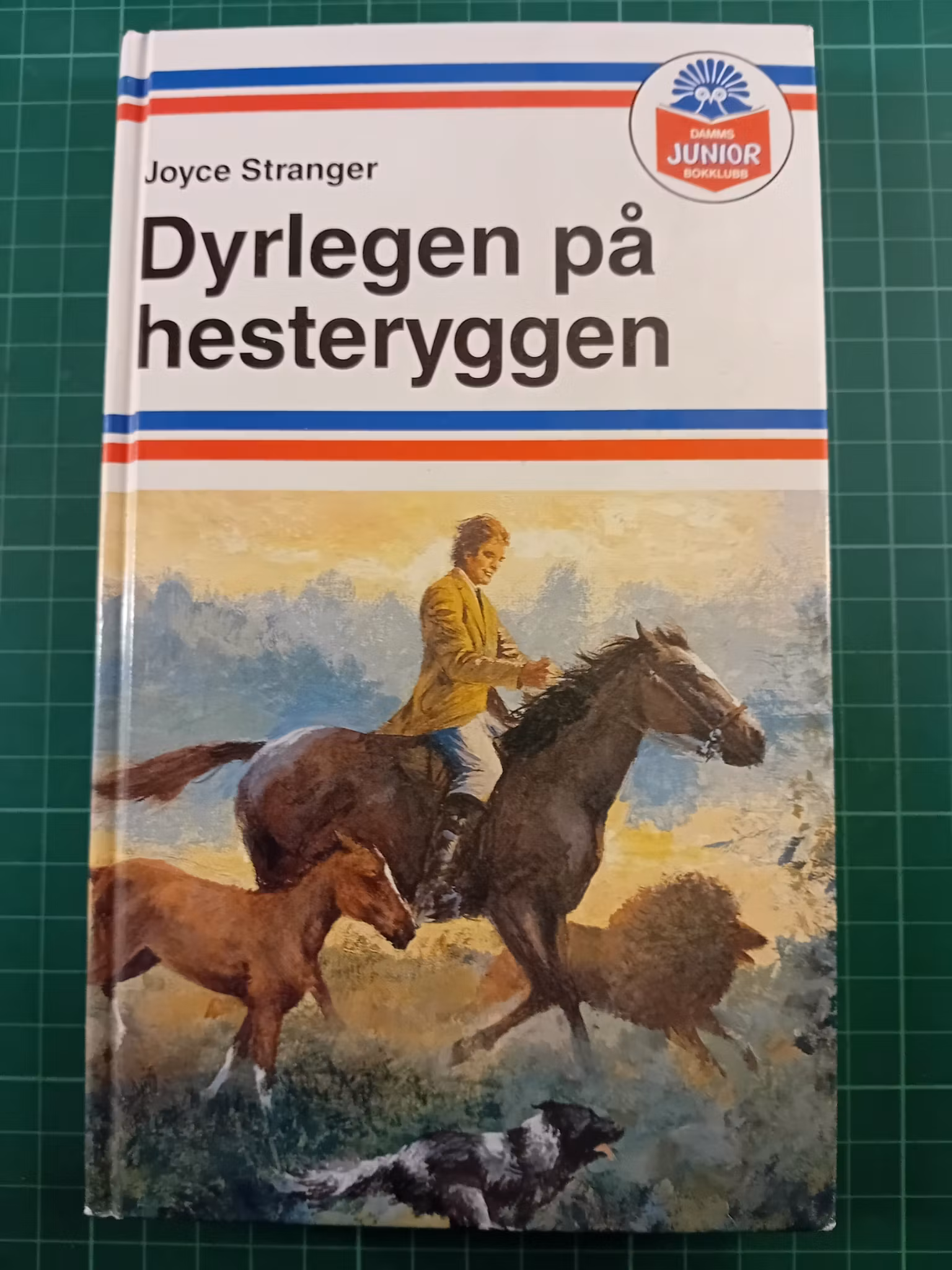 Dyrlegen på hesteryggen