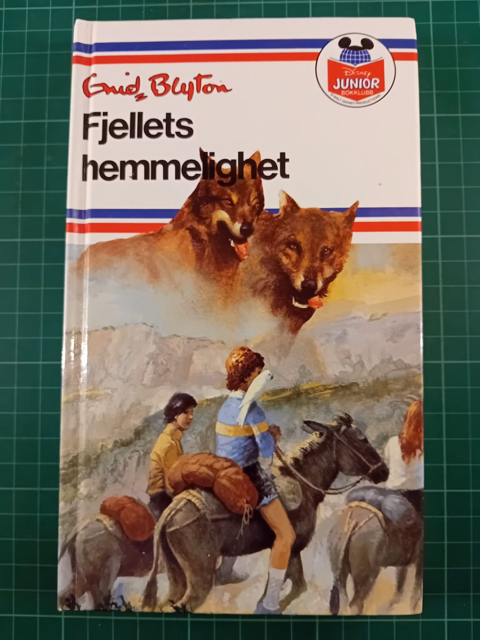 Enid Blyton fjellets hemmelighet