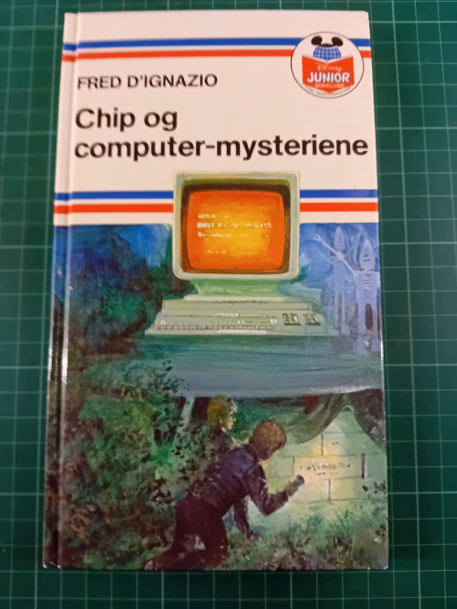 Chip og computer-mysteriene