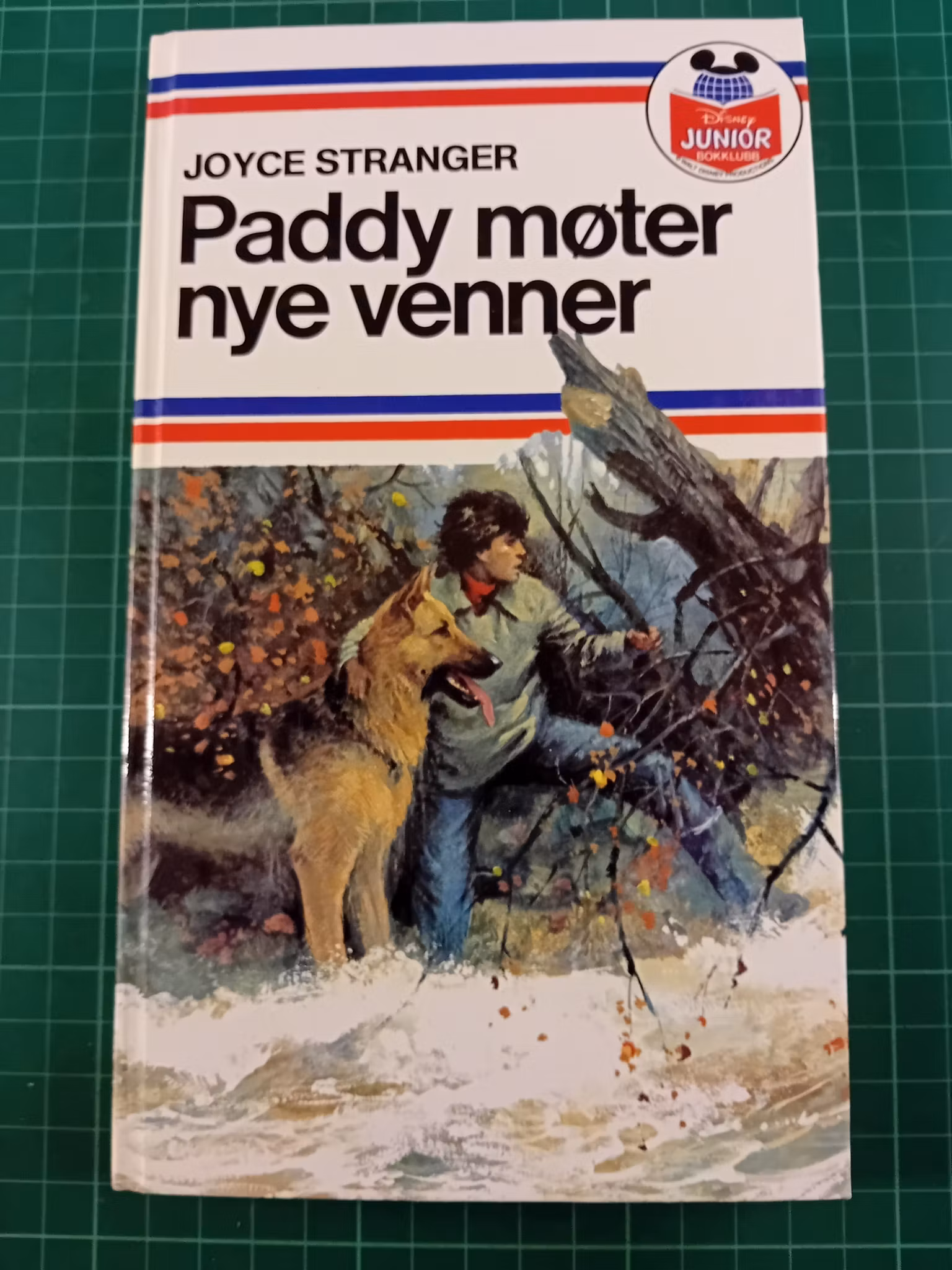 Paddy møter nye venner