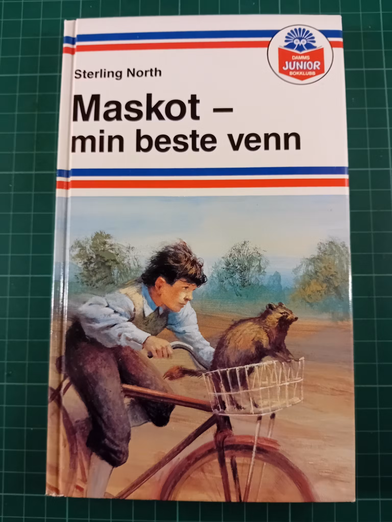 Maskot - min beste venn