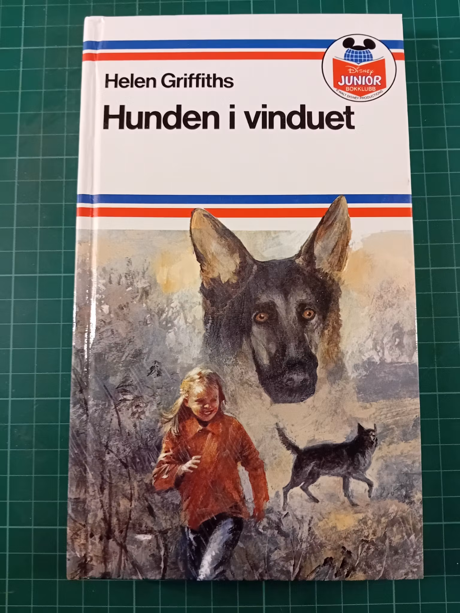 Hunden i vinduet