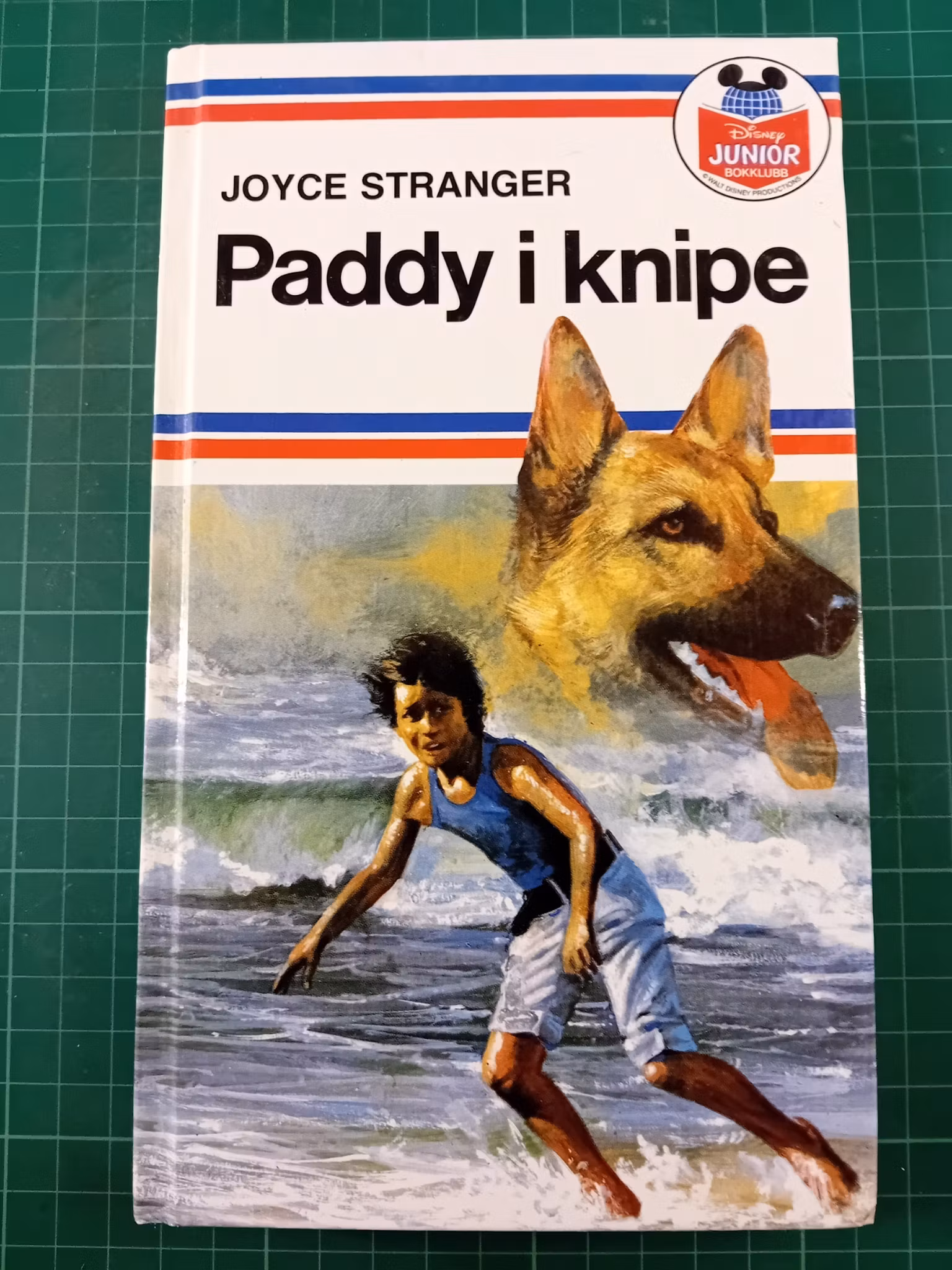 Paddy i knipe