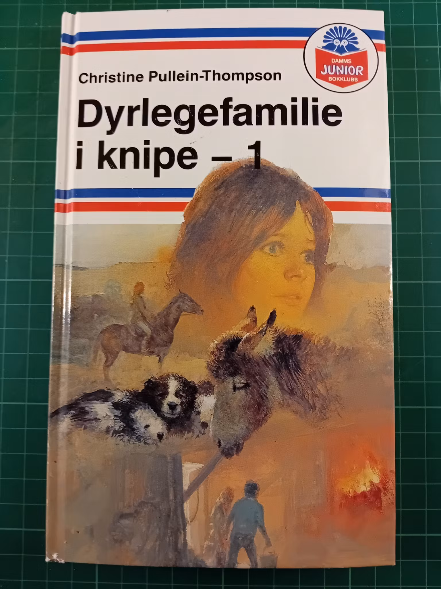 Dyrlegefamilie i knipe 1