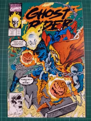 Ghostrider #17