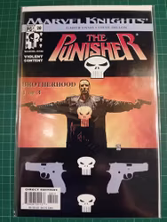 The Punisher #20