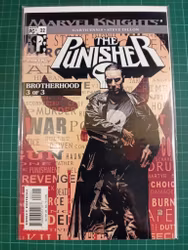 The Punisher #22