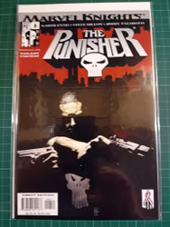 The Punisher #06