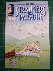 Strangers in paradise #006