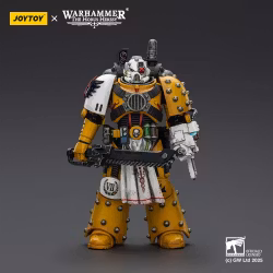 Warhammer 40,000: imperial Fists Action Figure Legion Apothecary 12 cm (Totalpris 698,-)