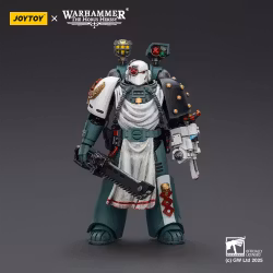 Warhammer 40,000: Sons of Horus Action Figure Legion Apothecary 12 cm (Totalpris 698,-)