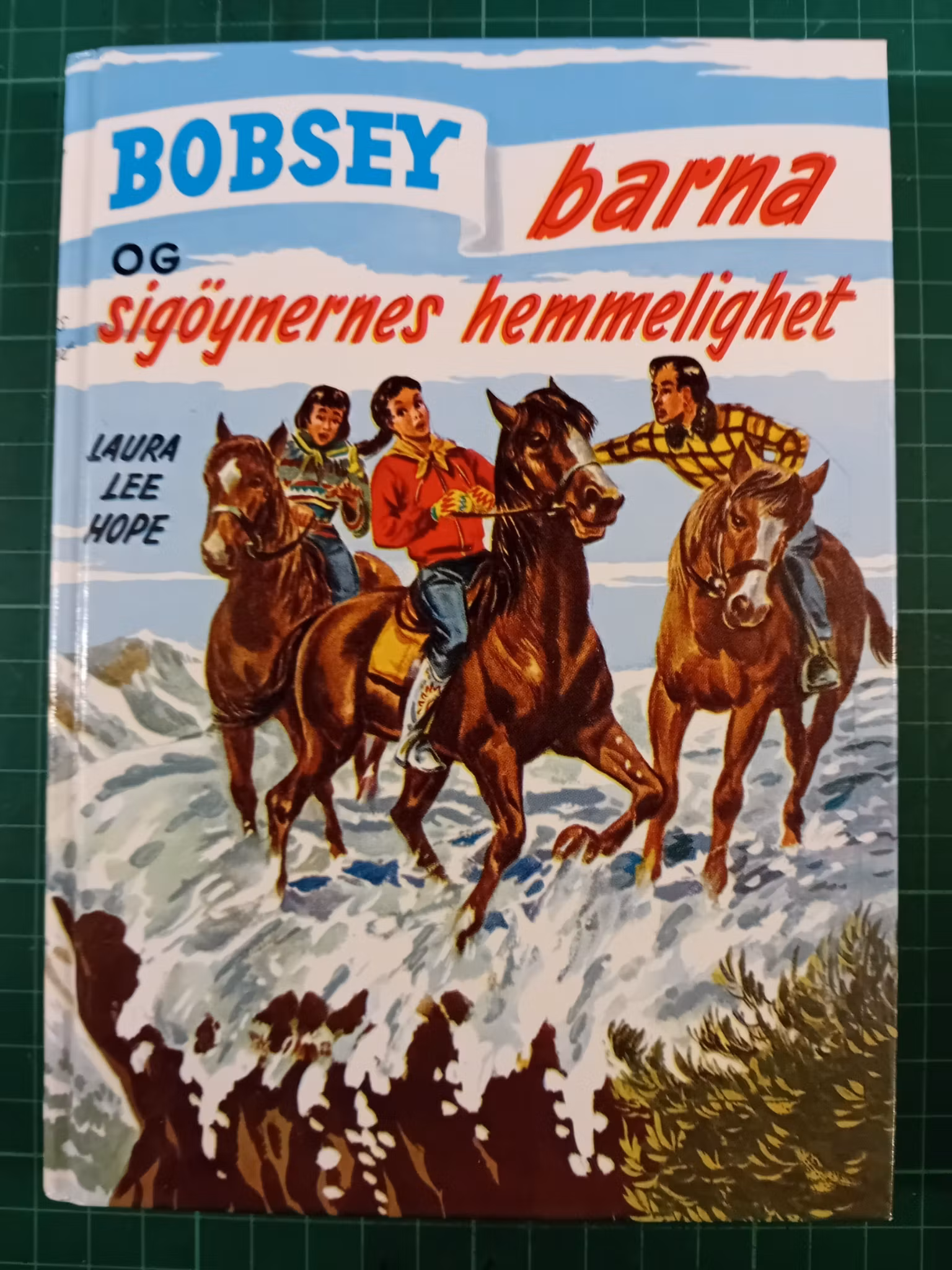 Bobsey barna 20 og sigøynerens hemmelighet