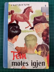 Bok 21 Fem møtes igjen