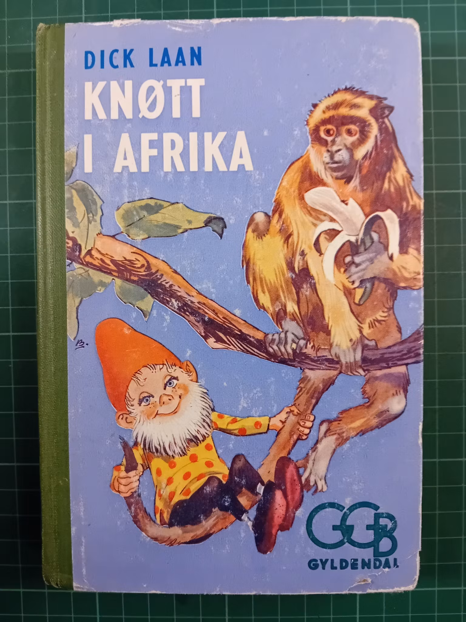 Knøtt i Afrika