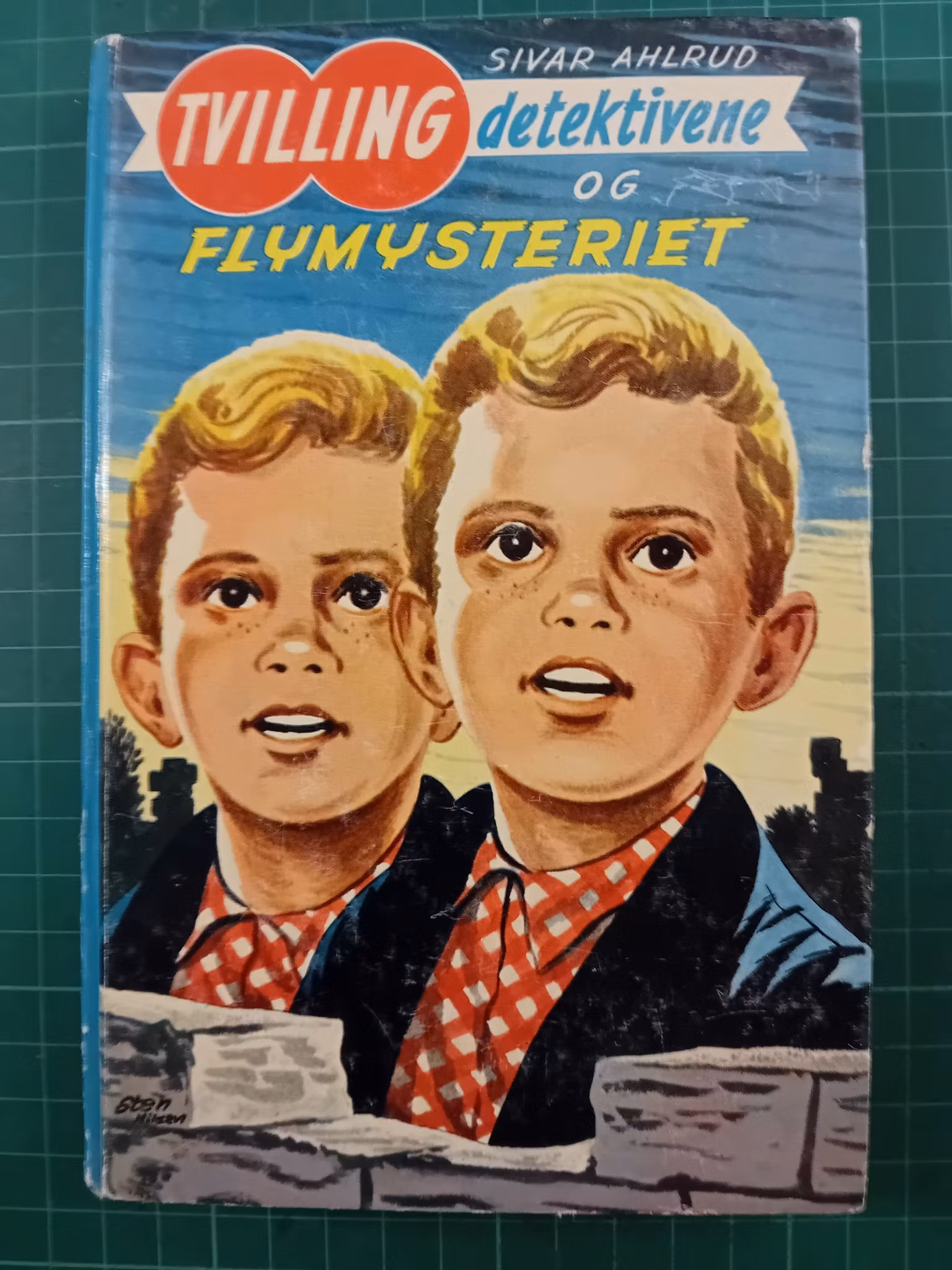 Tvilling detektivene og flymysteriet (Bok 8)