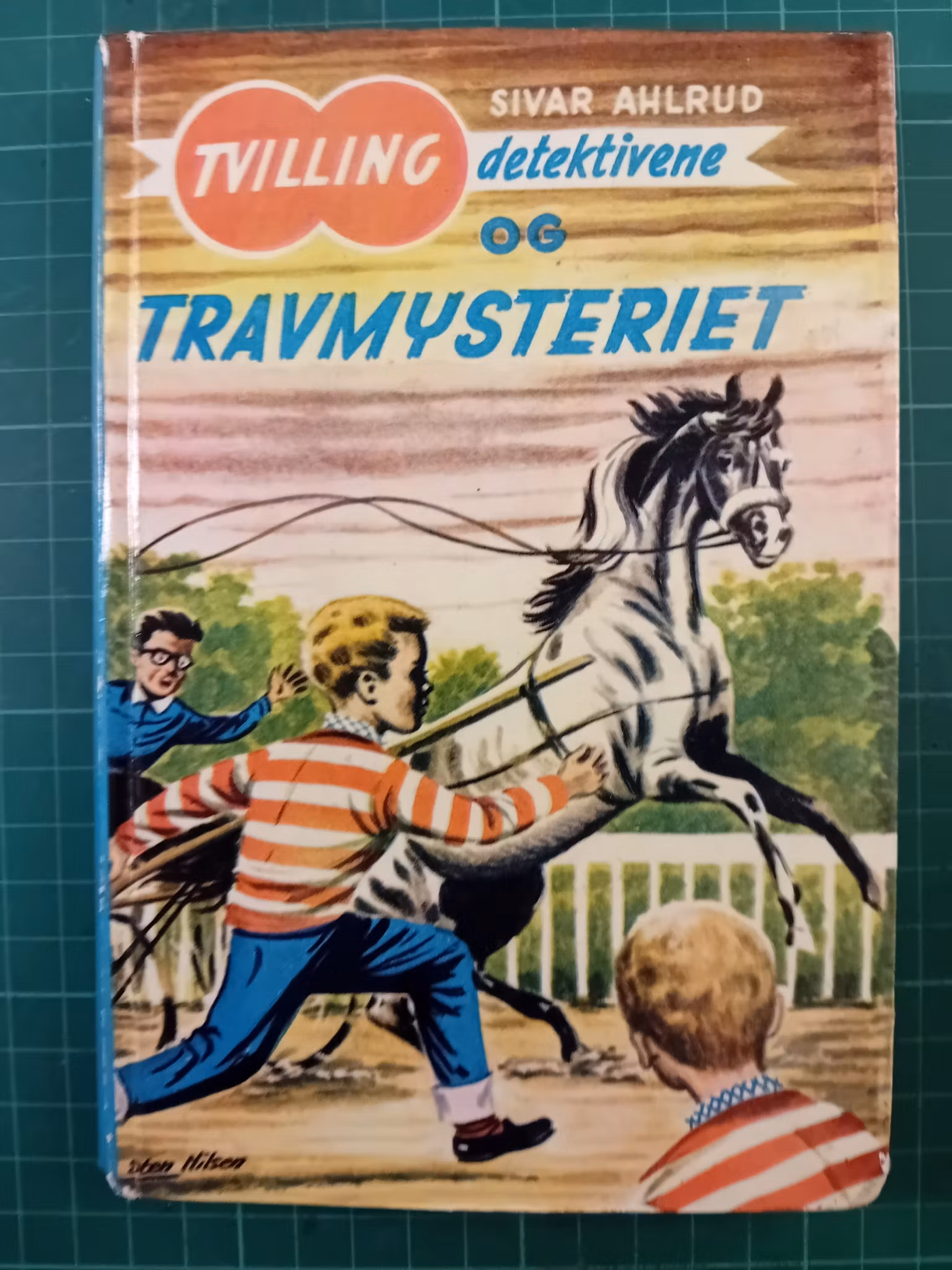Tvilling detektivene og travmysteriet (Bok 1)