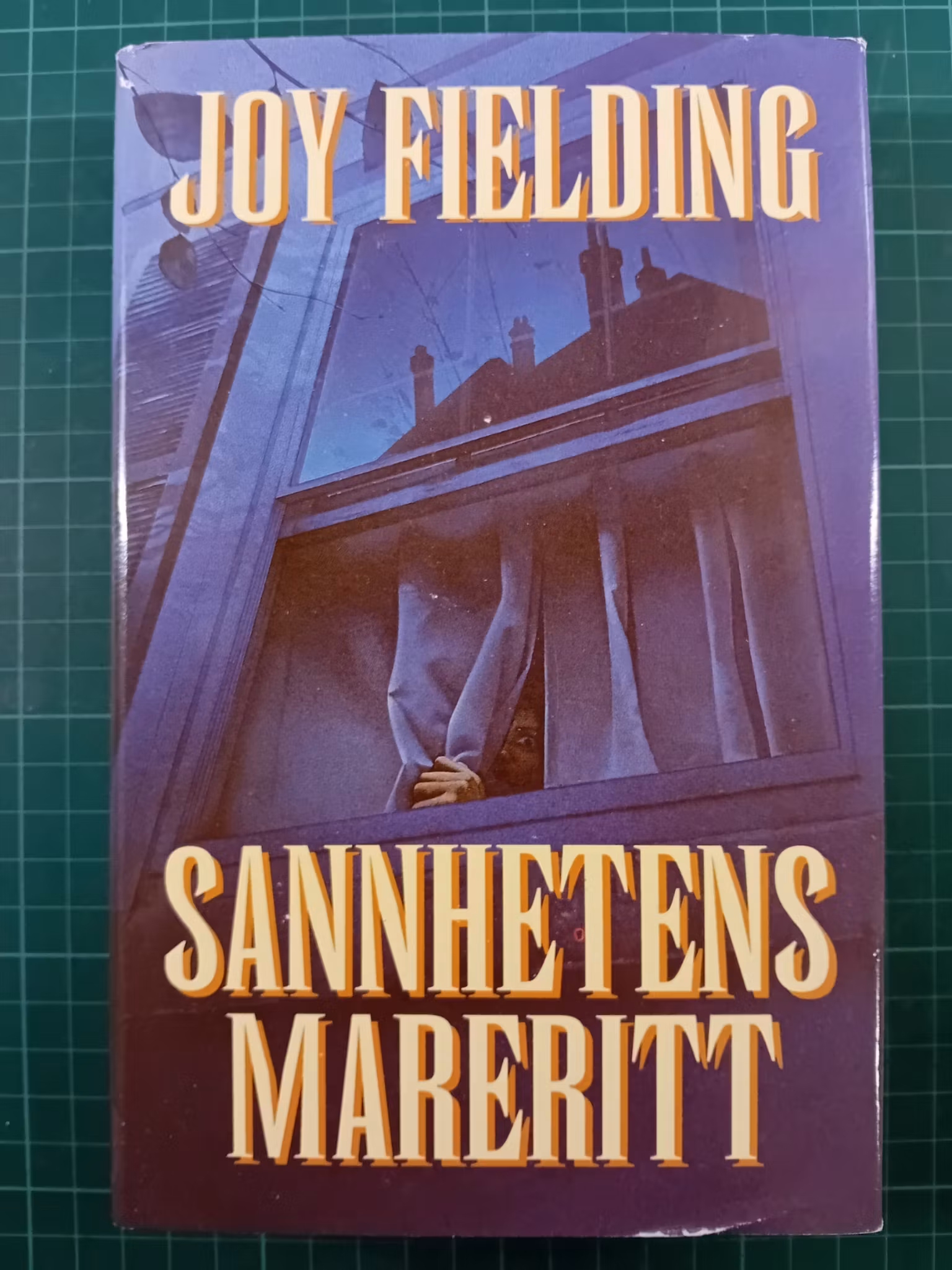 Sannhetens mareritt : Joy Fielding