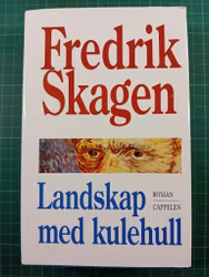 Landskap med kulehull : Fredrik Skagen