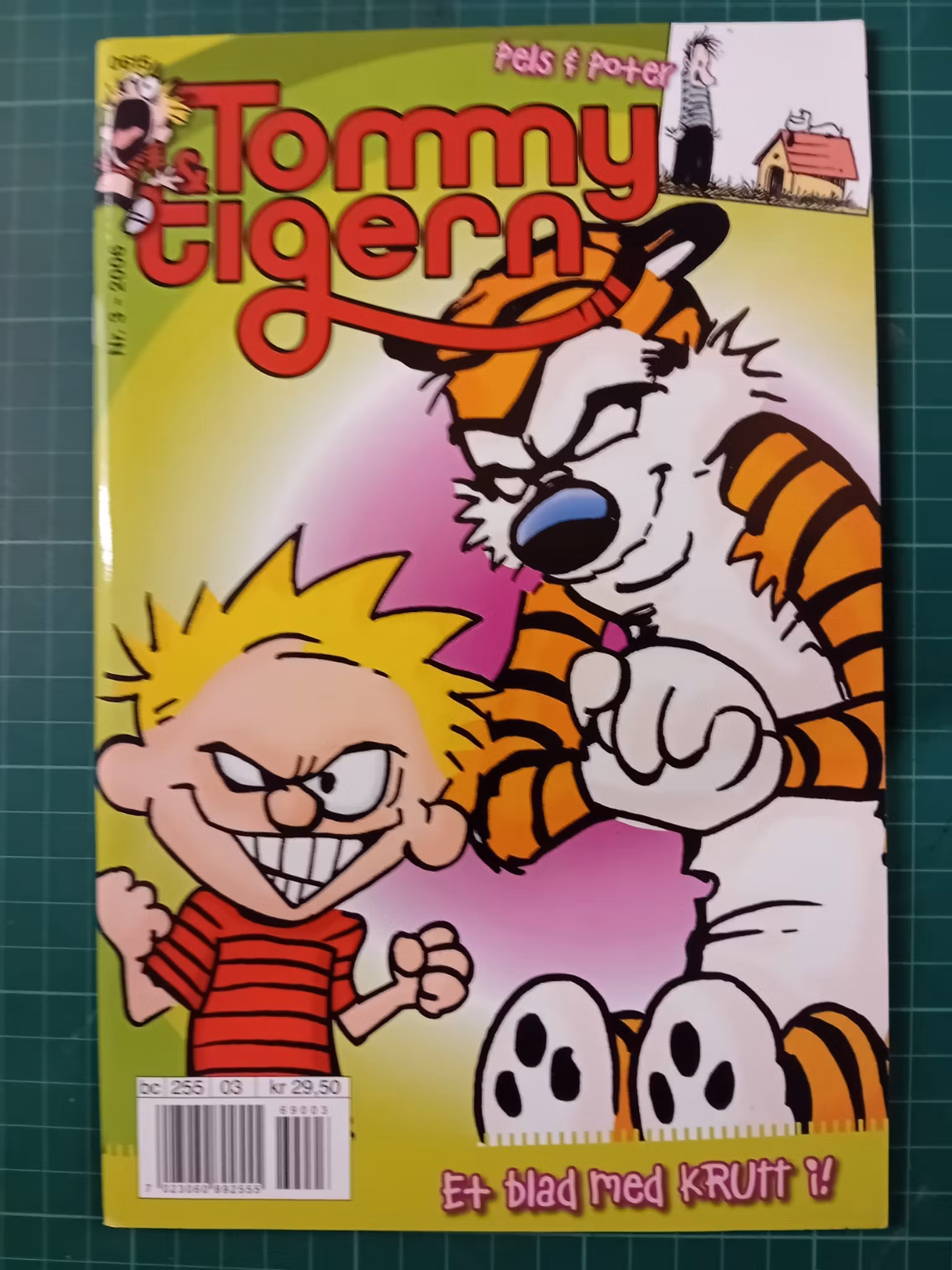 Tommy og Tigern 2006 - 03