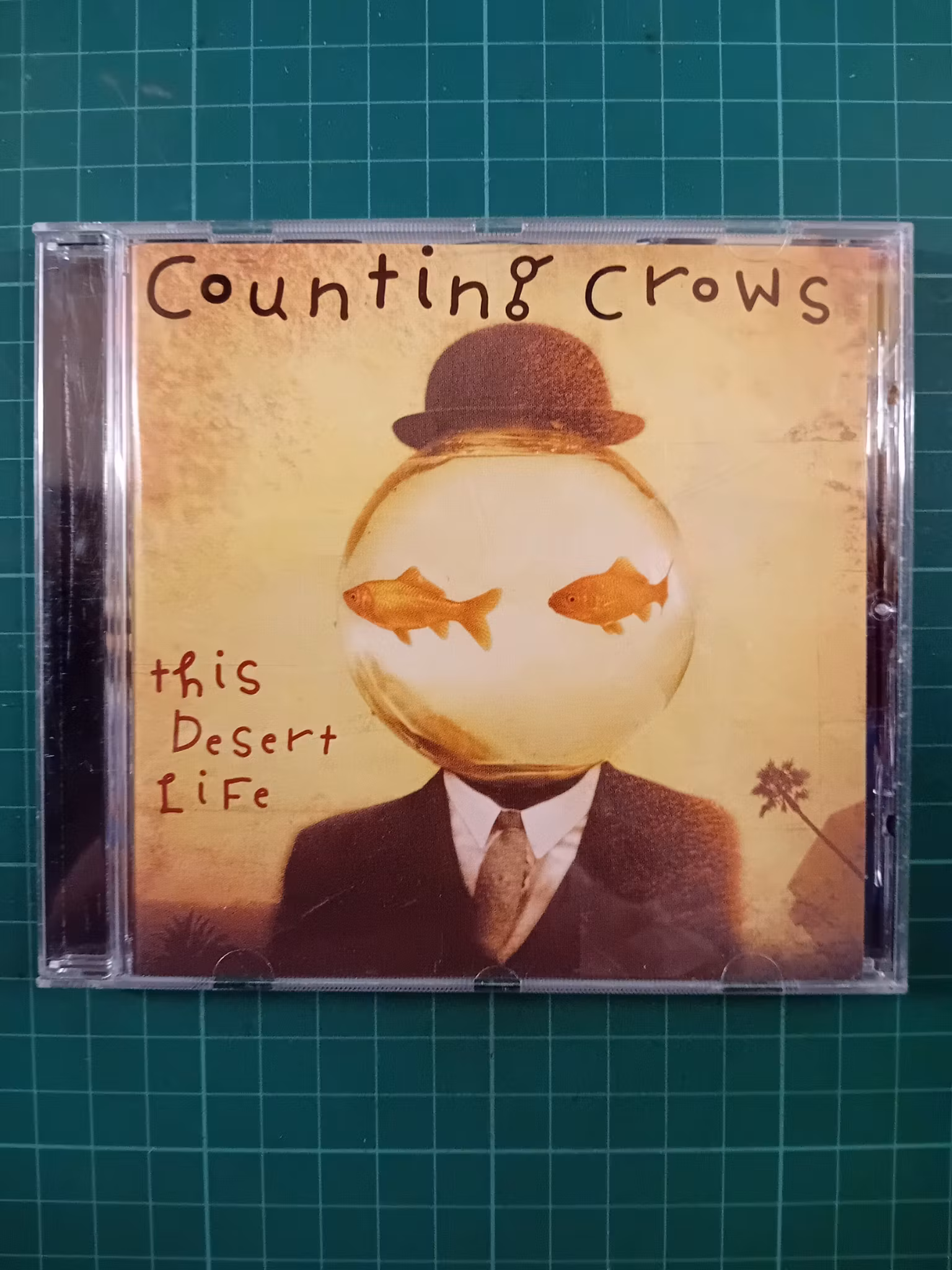 Counting Crows - This Desert Life