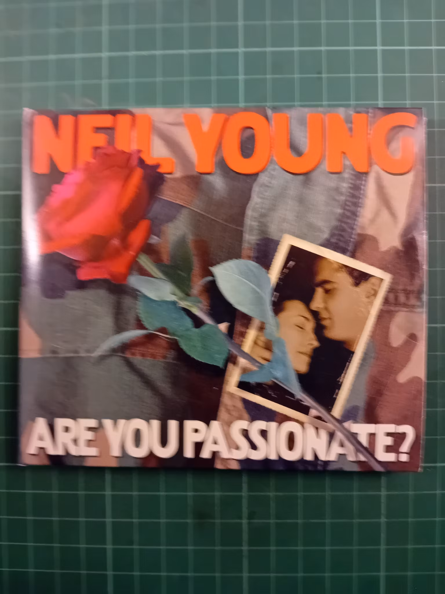 Neil Young – Are You Passionate? (pappcover)