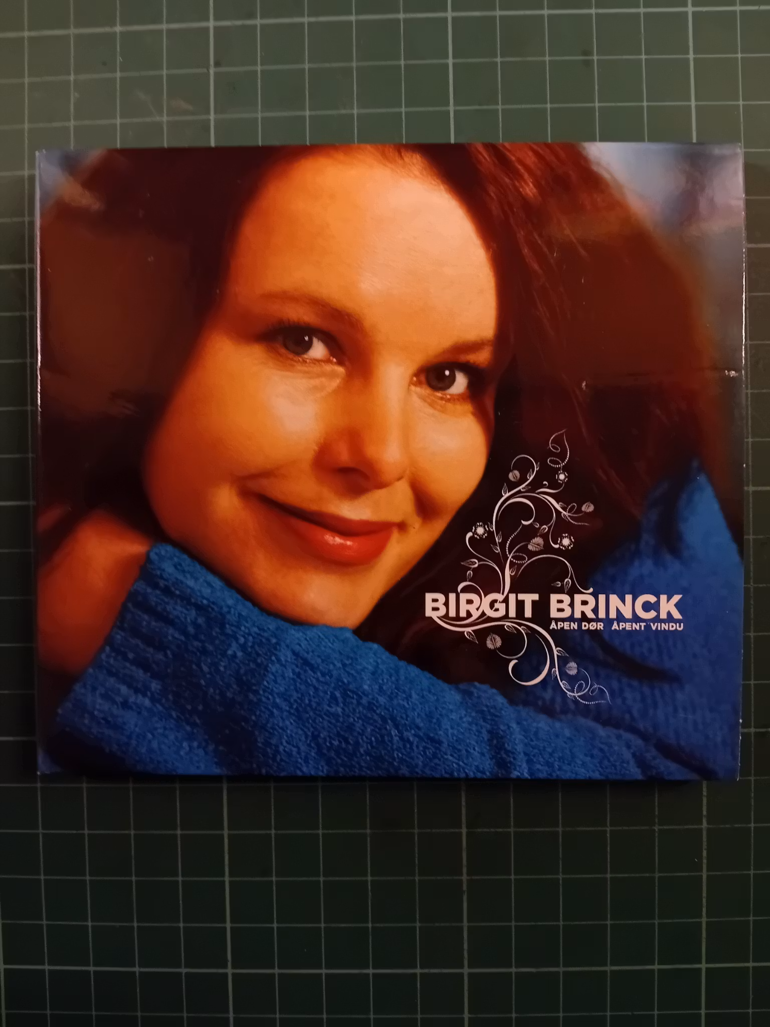 Birgit Brinck – Åpen dør, åpen vindu (pappcover)