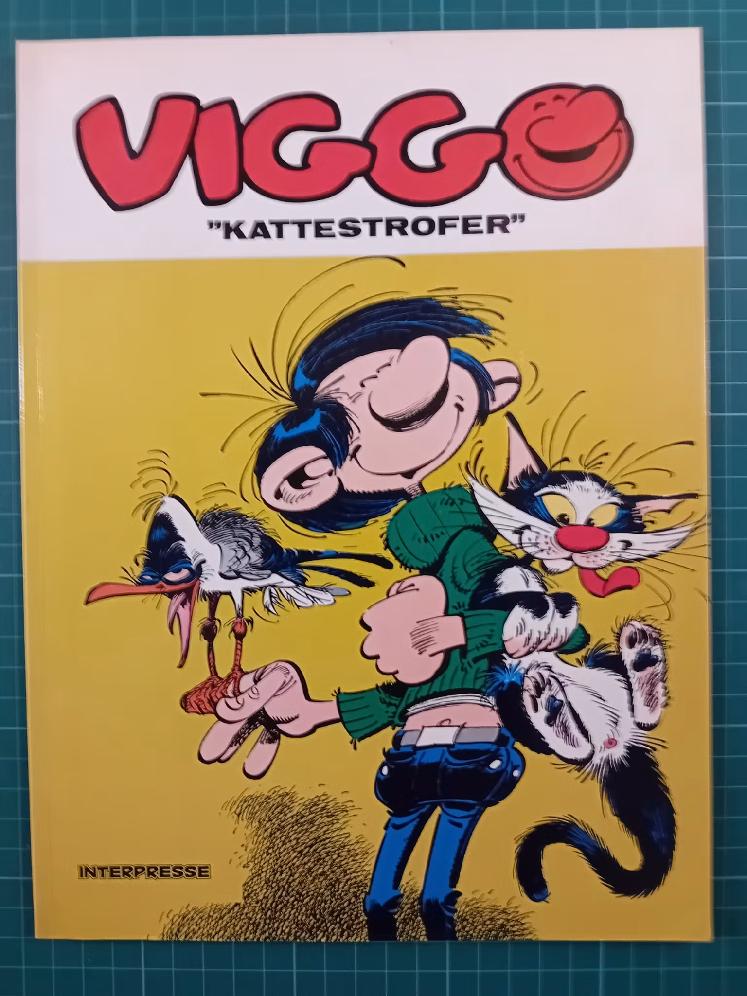 Viggo 11 kattestrofer