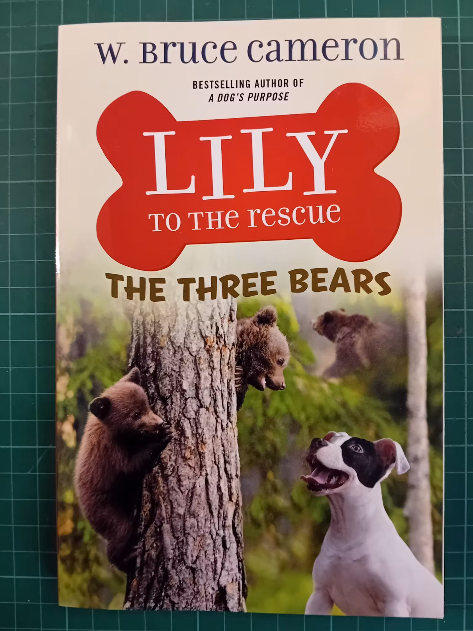 Lily to the Rescue: The Three Bears