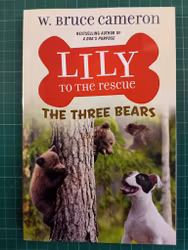 Lily to the Rescue: The Three Bears