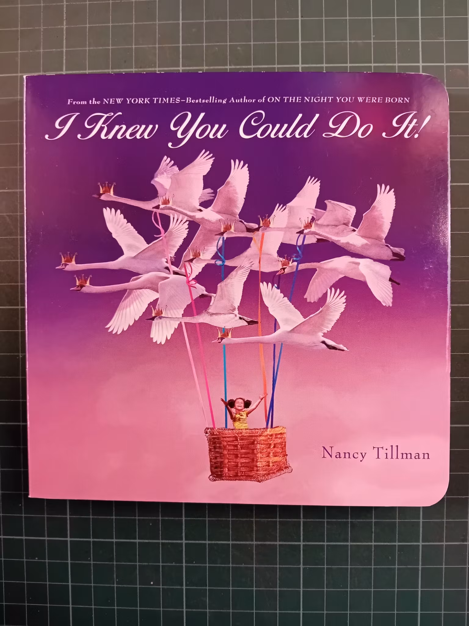 I Knew You Could Do It!