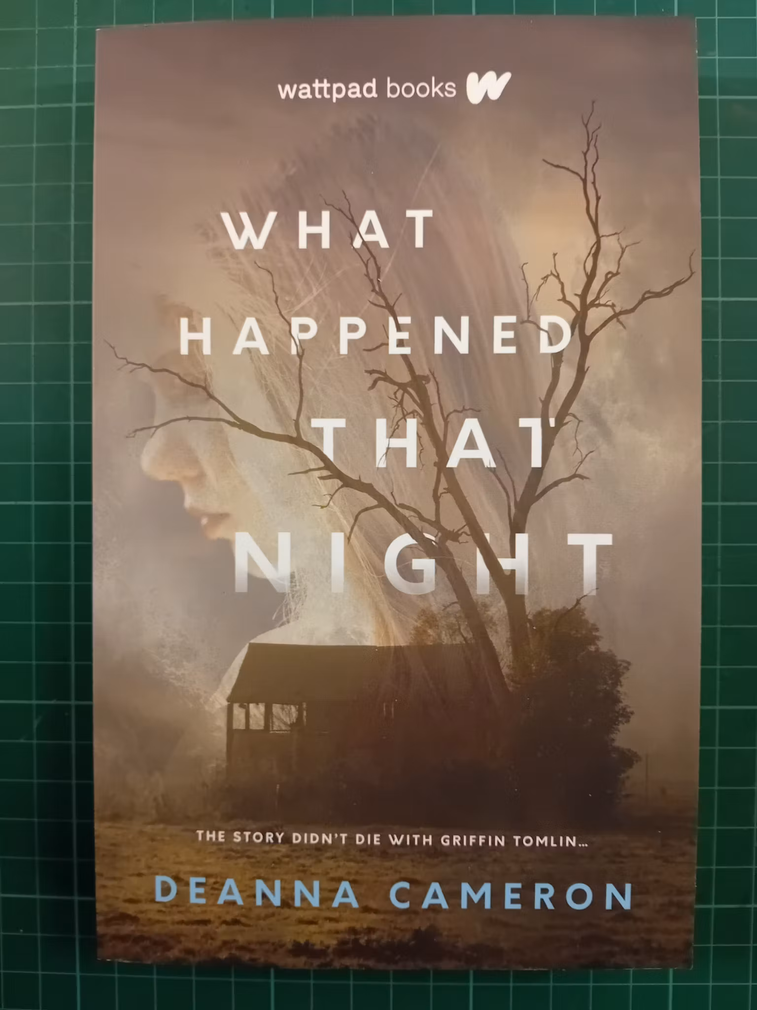 What Happened that Night