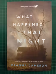 What Happened that Night