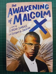 The Awakening of Malcolm X