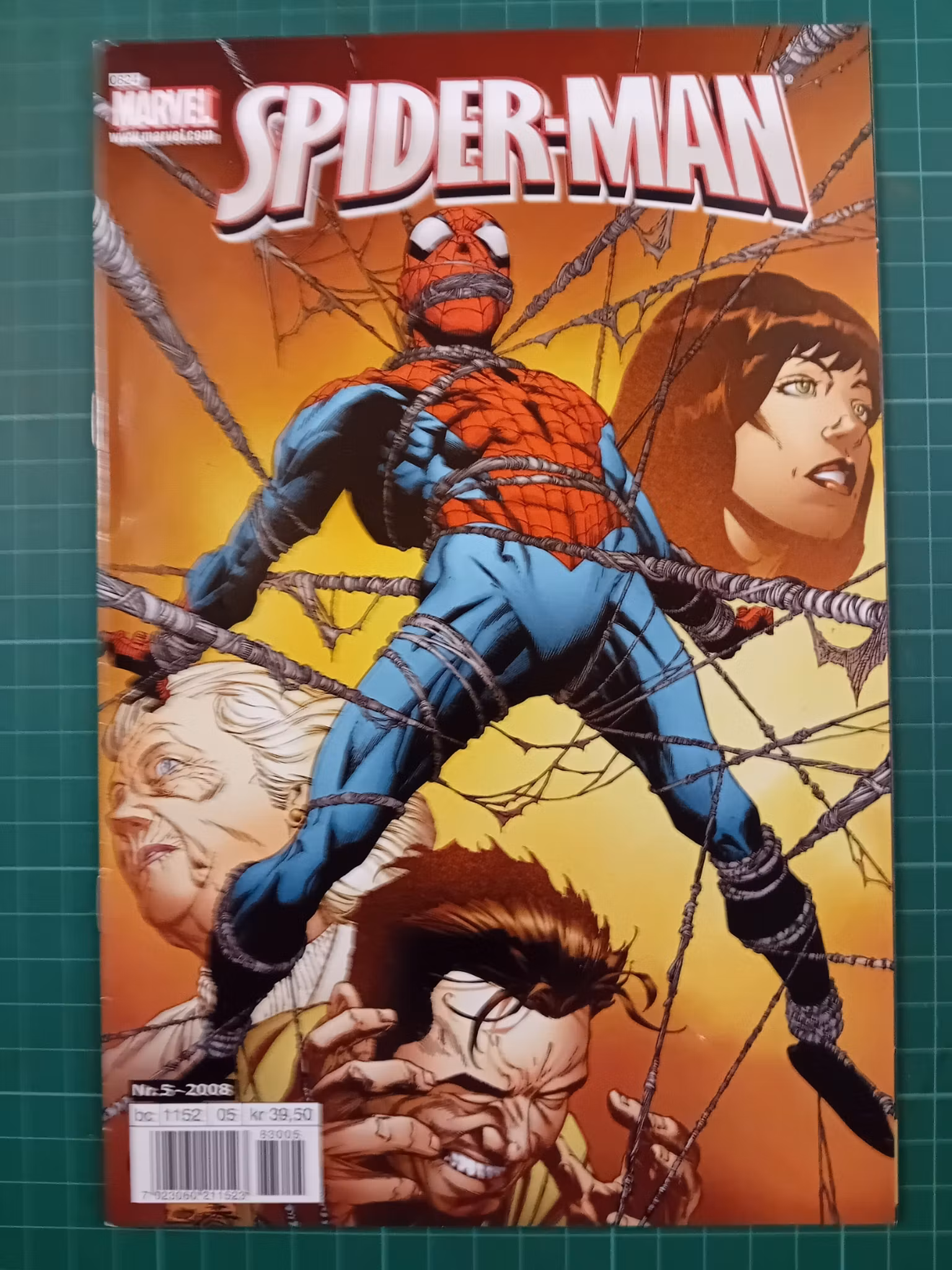 Spiderman 2008 - 05