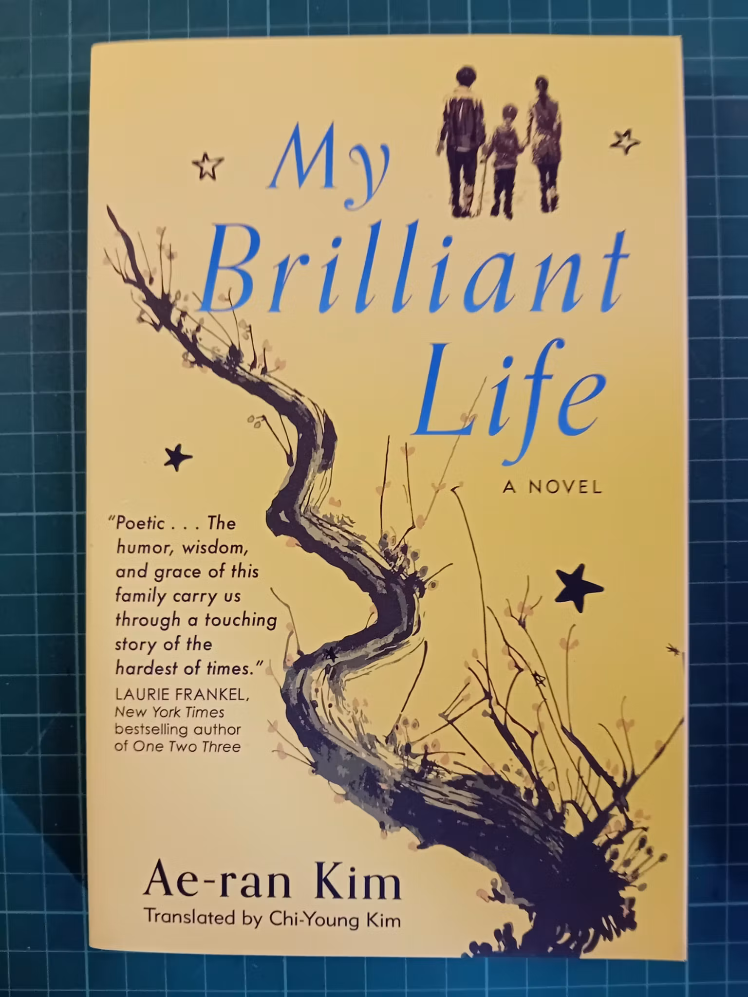 Ae-Ran Kim : My Brilliant Life