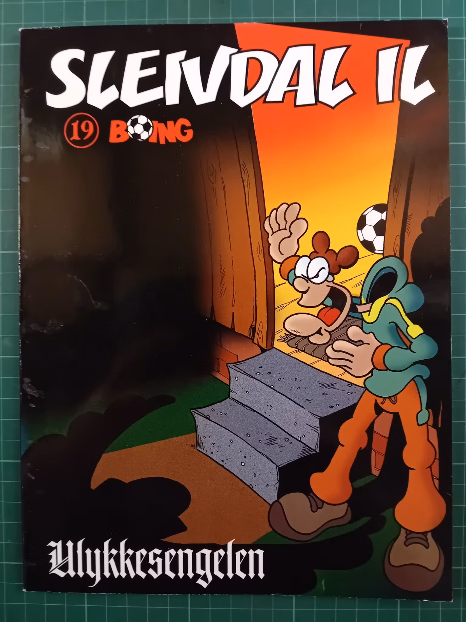 Sleivdal IL album 19