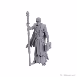 D&D Nolzur's Marvelous Miniatures Unpainted Miniature Volo & Withers