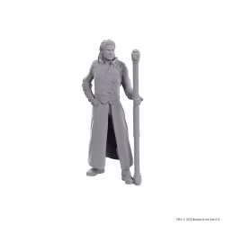 D&D Nolzur's Marvelous Miniatures Unpainted Miniature Gale & Astarion