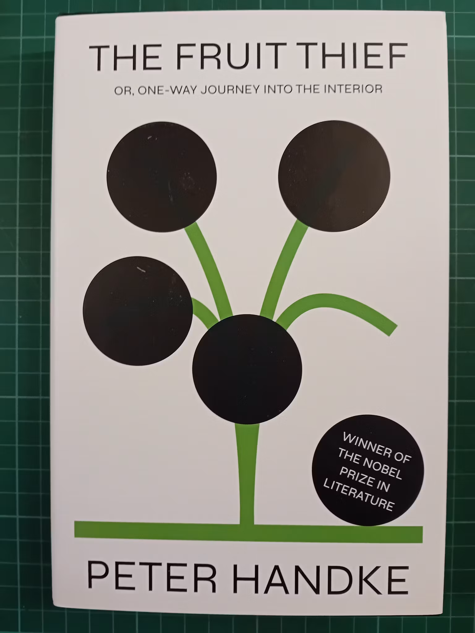 The Fruit Thief: or, One-Way Journey into the Interior