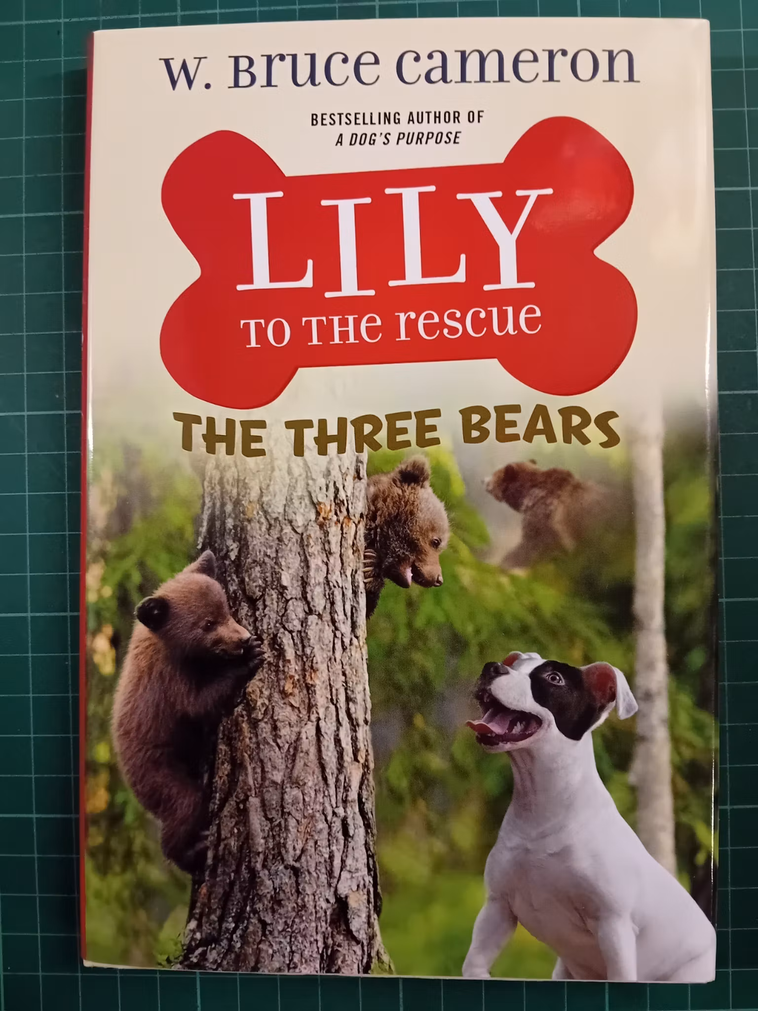 Lily to the Rescue: The Three Bears