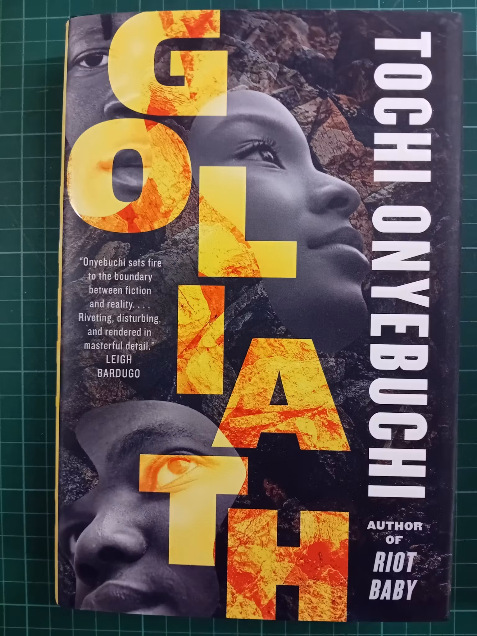 Goliath: A Novel
