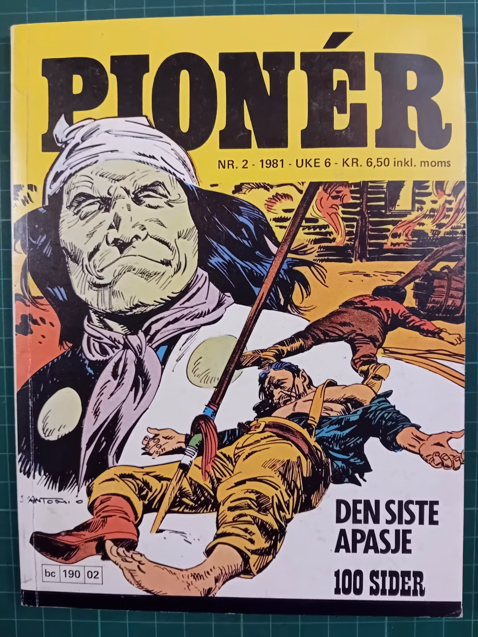Pionér I 1981 - 02