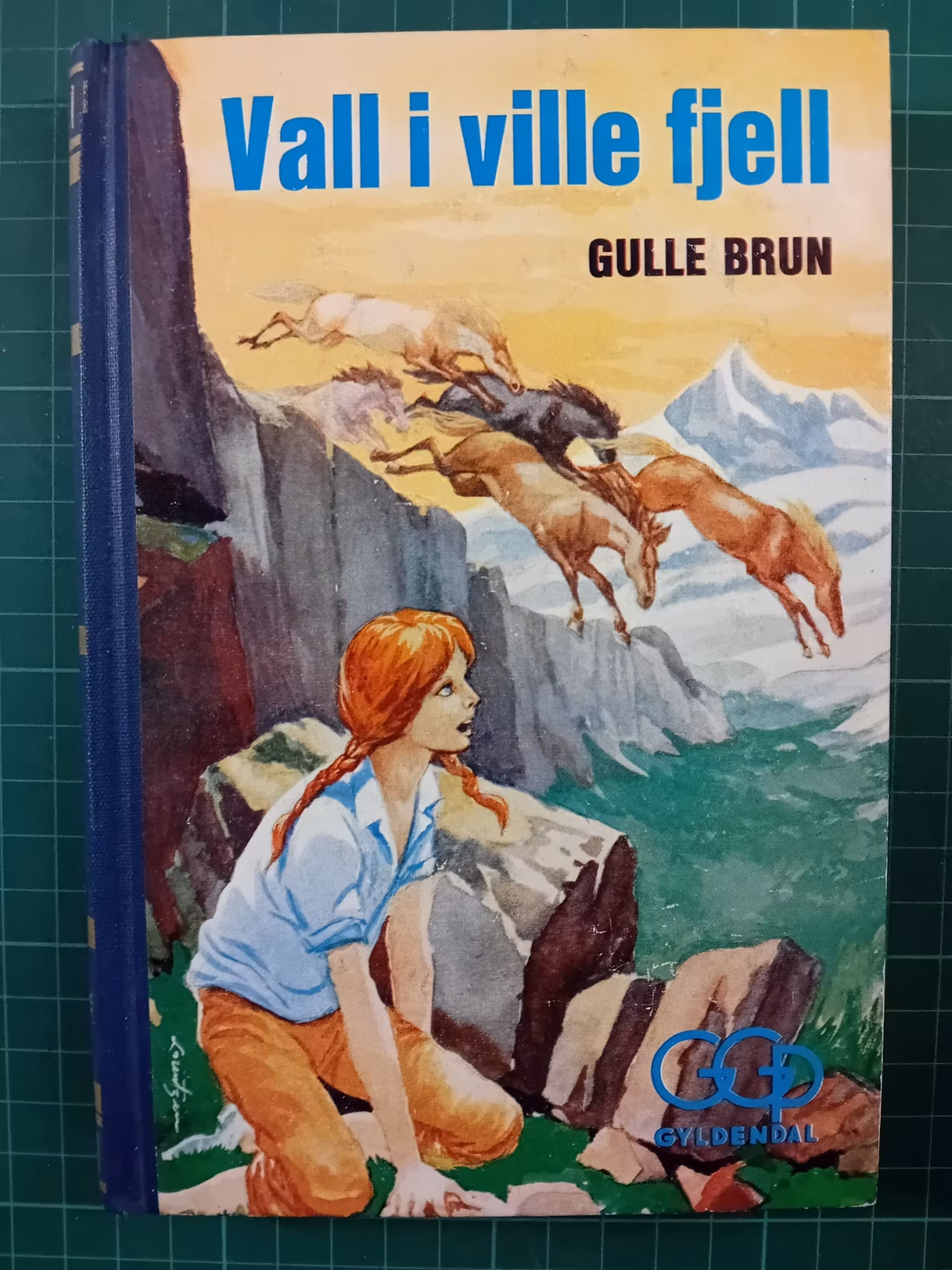 Vall i ville fjell (GGP)