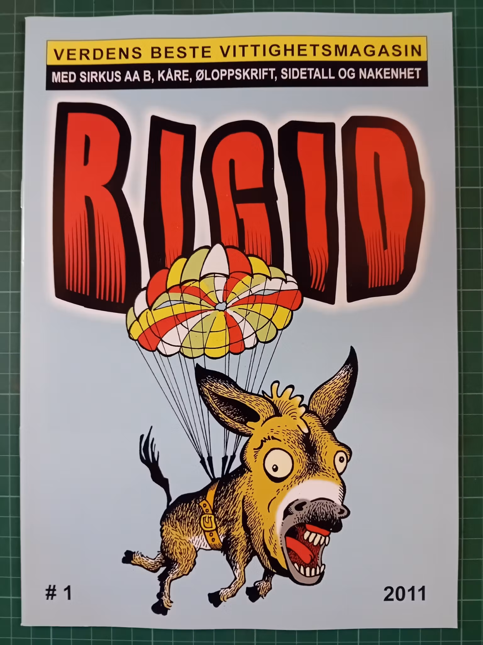 Rigid #1