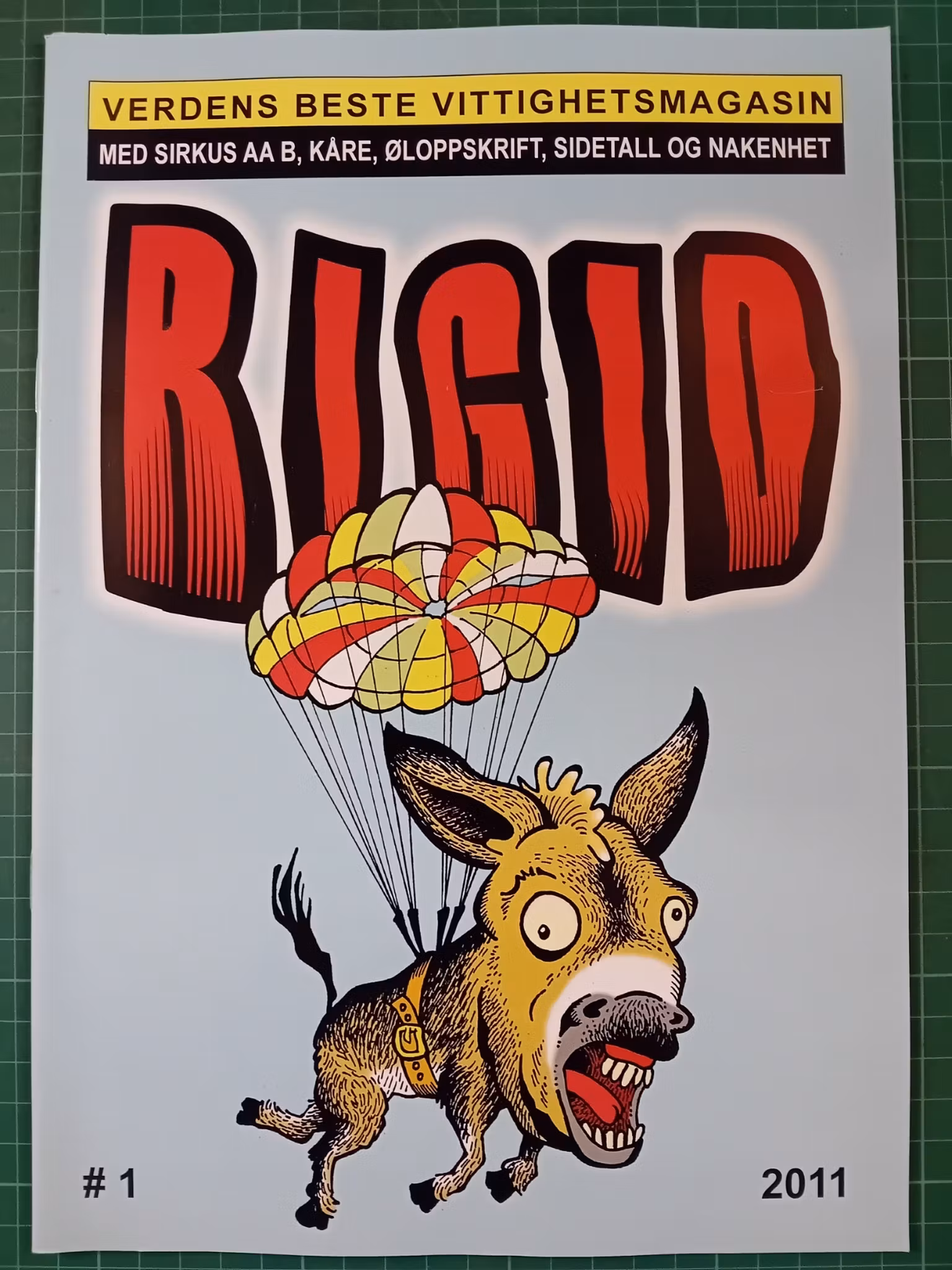 Rigid #1