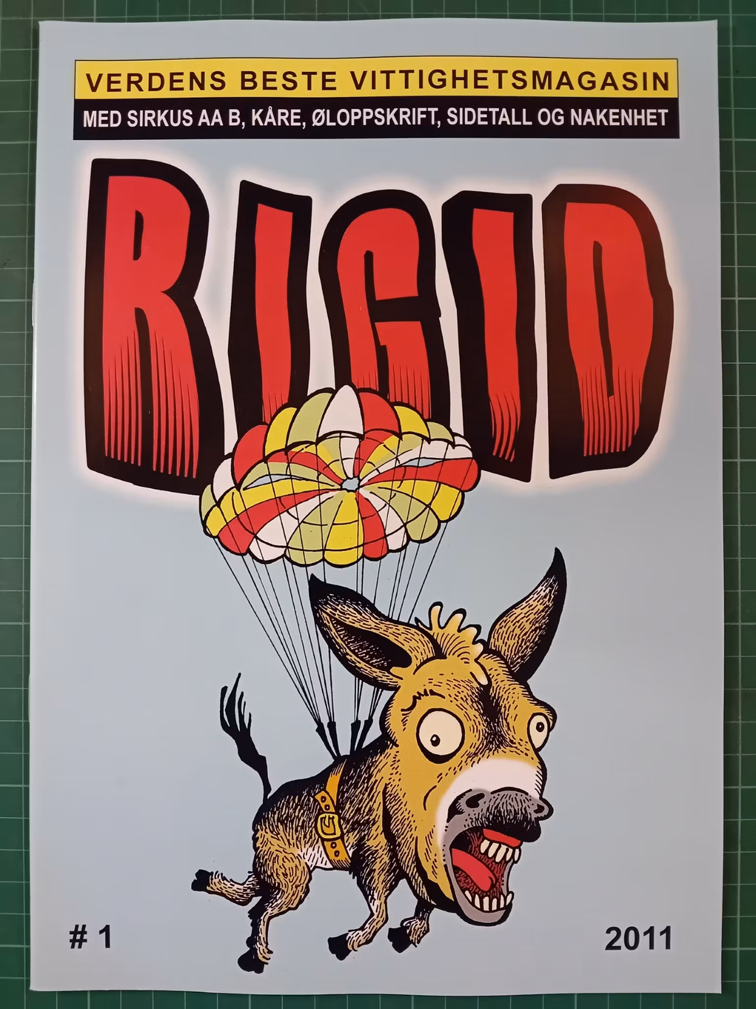 Rigid #1