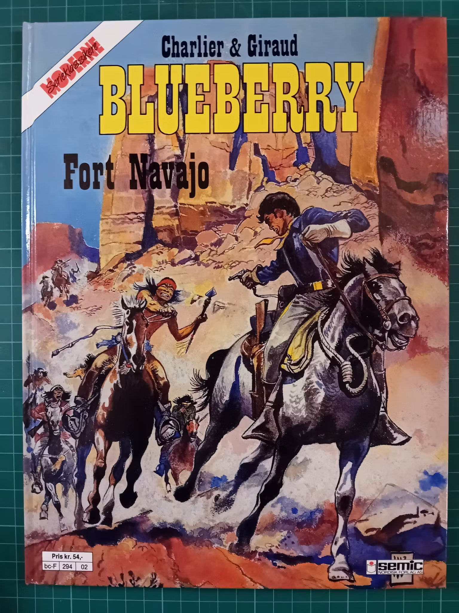 Blueberry Fort Navajo (Hardcover)