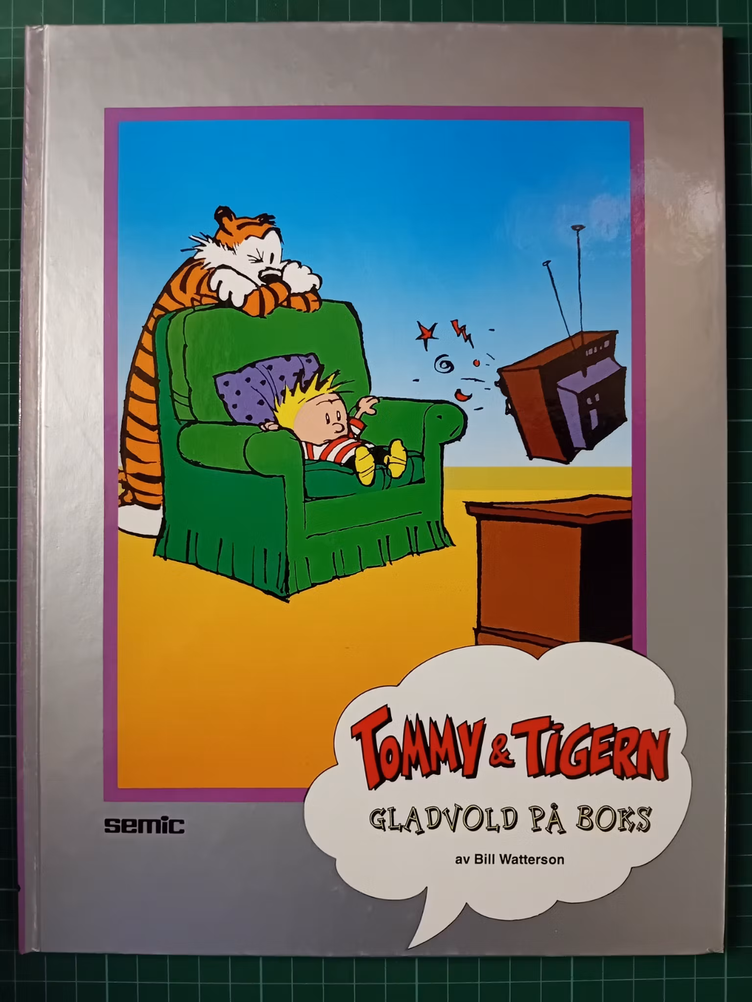 Tommy & Tigern Gladvold på boks